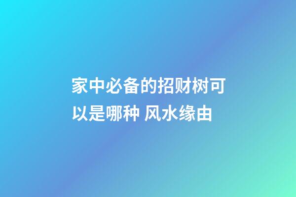 家中必备的招财树可以是哪种 风水缘由